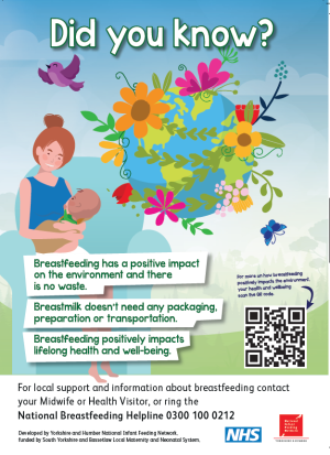 Breastfeeding and the Environment Poster