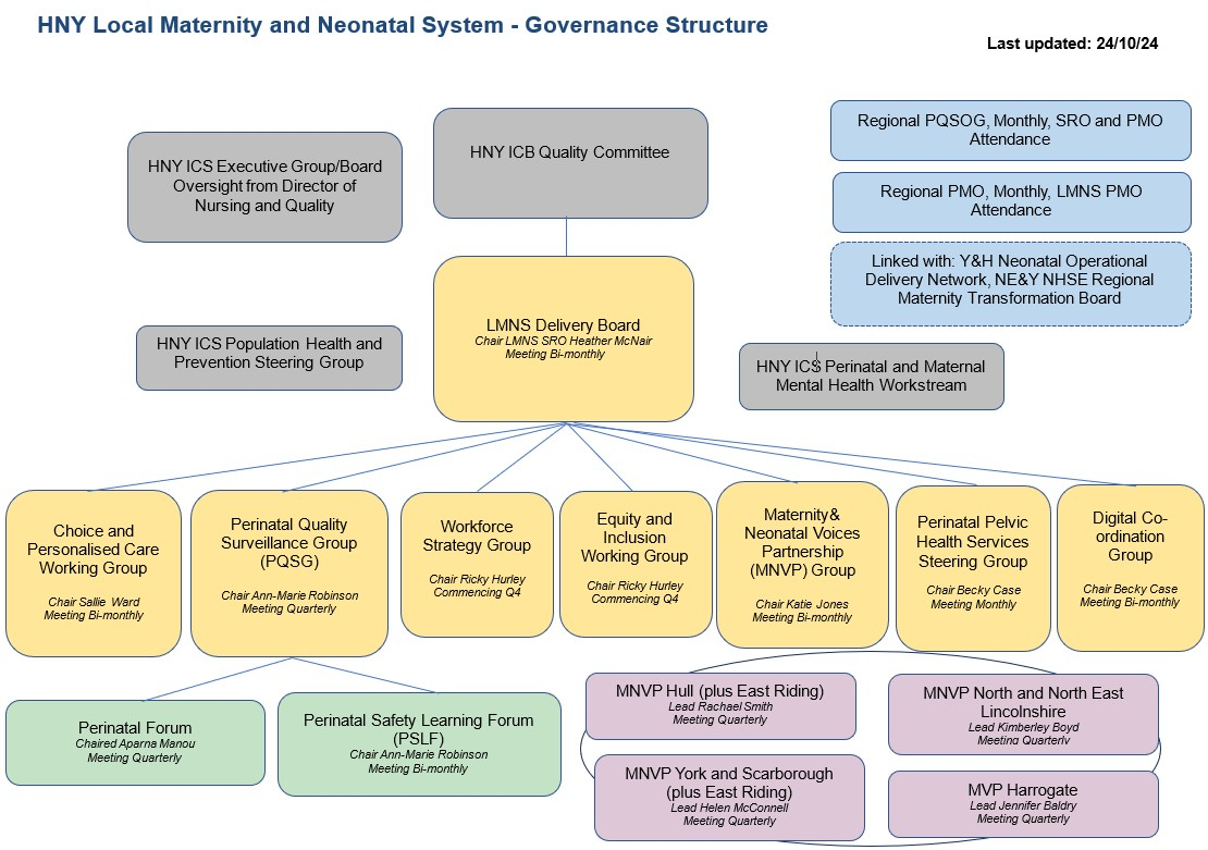 LMNS Governance Structure 241024 